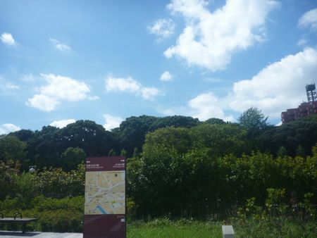 f0085501_16171996.jpg