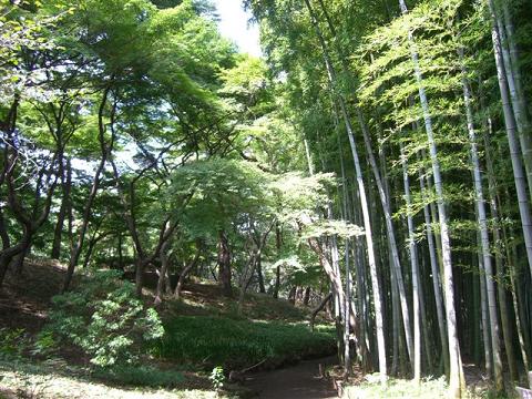 a0057402_1919042.jpg