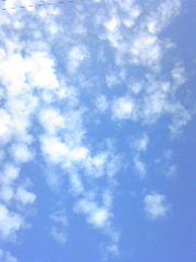 c0036102_724455.jpg