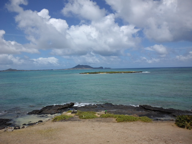 b0076307_21294573.jpg