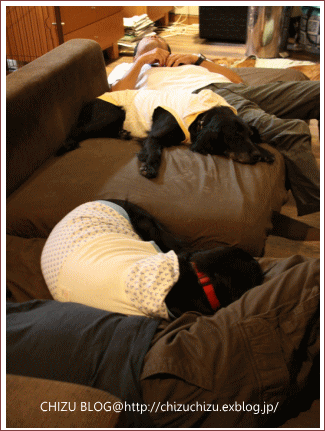 c0017311_13542596.gif