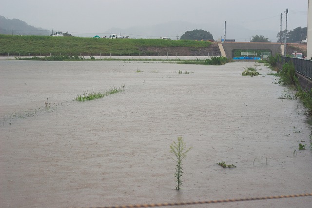 f0011412_1713682.jpg