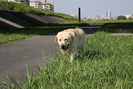 f0191413_13322970.jpg