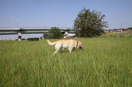 f0191413_13353635.jpg