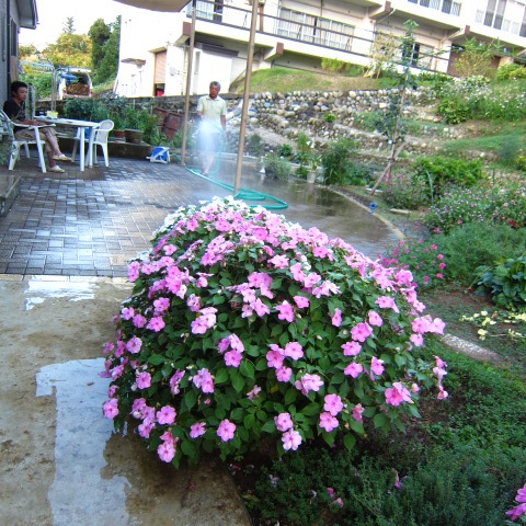 暑かったですね~_f0067514_19271612.jpg