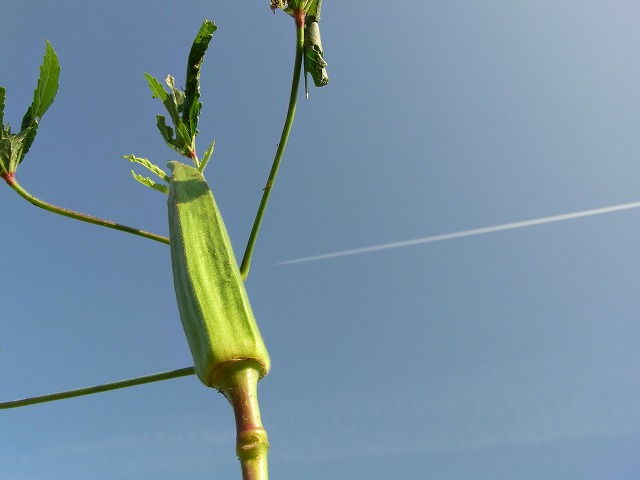 f0219018_23331357.jpg
