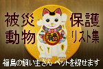 b0034820_1485648.jpg