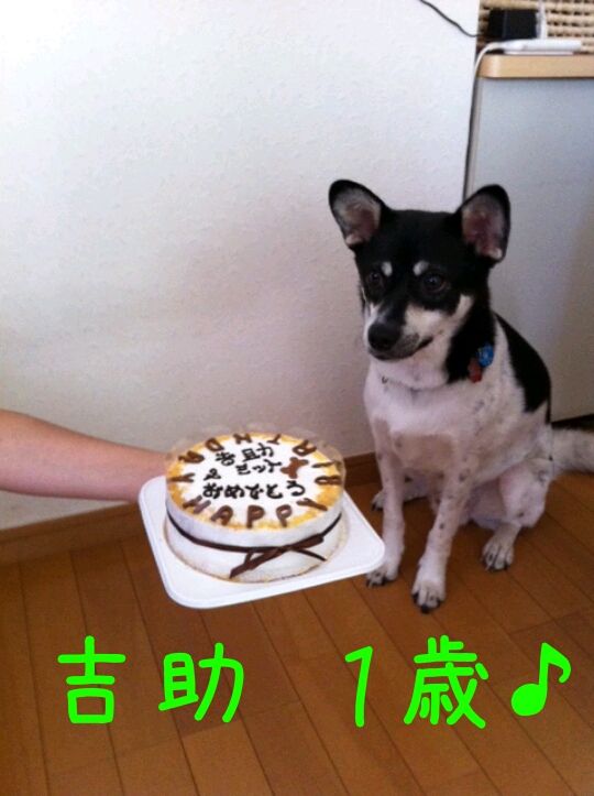 a0191121_11372324.jpg