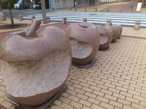 東北大会_e0124021_17381151.jpg