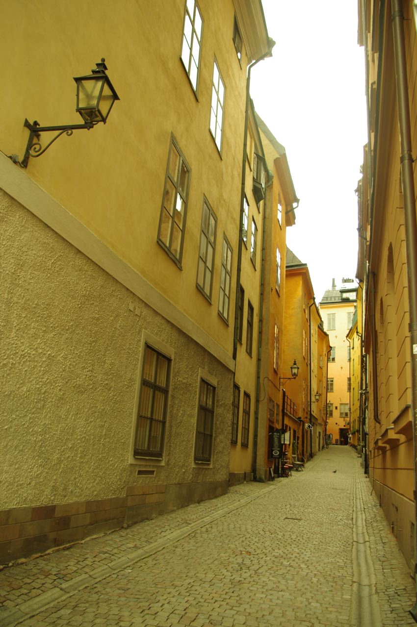 f0154524_226274.jpg