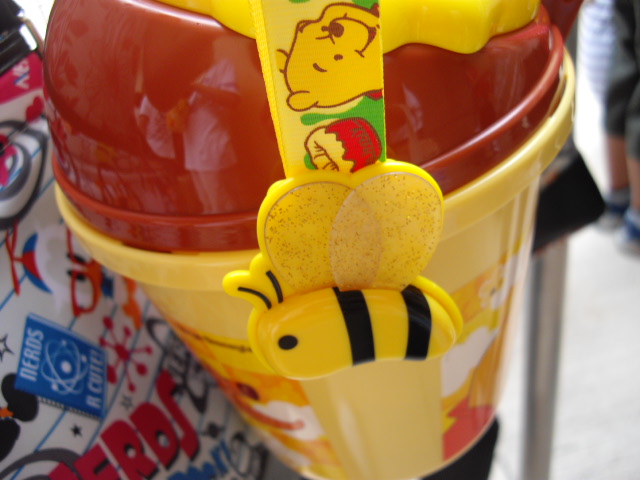 2011年 夏旅行 ~ディズニーランド満喫~_d0104926_4375631.jpg