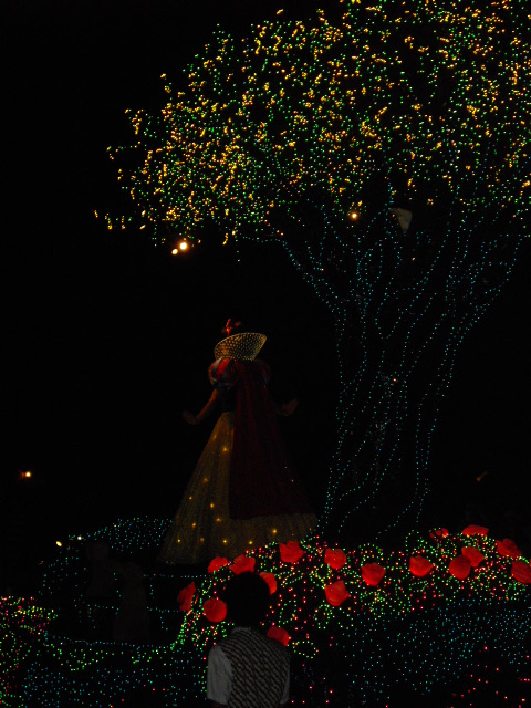 2011年 夏旅行 ~ディズニーランド満喫~_d0104926_454019.jpg