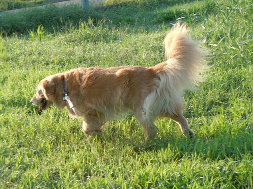 f0114128_18131410.jpg
