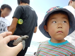 アカウミガメ放流会_f0188635_17402171.jpg