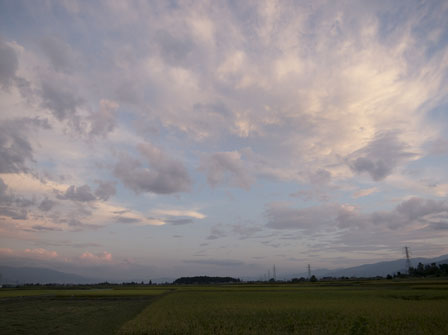 日曜日の帰り道_a0014840_2020953.jpg