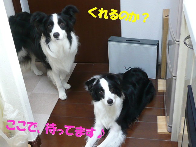 c0147241_23121586.jpg