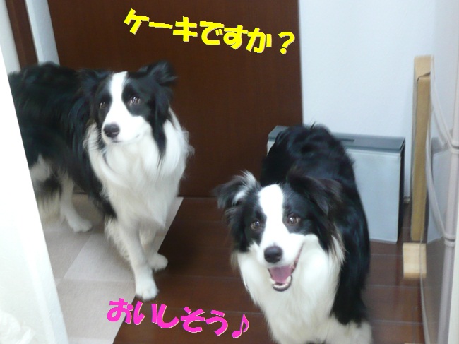 c0147241_2312813.jpg