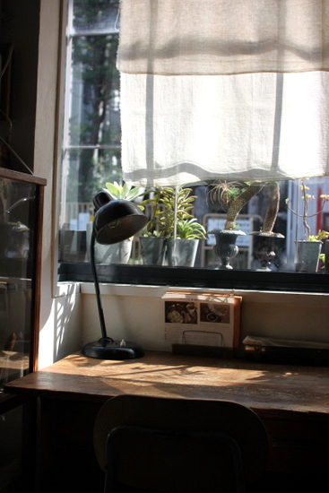 e0234741_1737417.jpg