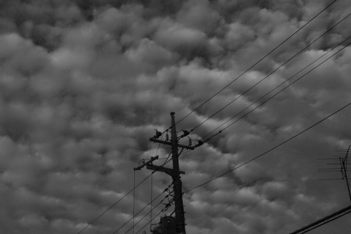 東京の空４　雲模様_d0185744_854329.jpg