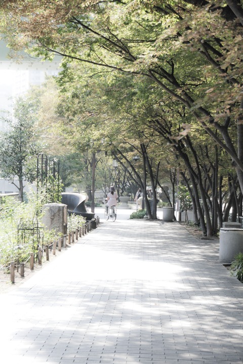 c0214345_76482.jpg