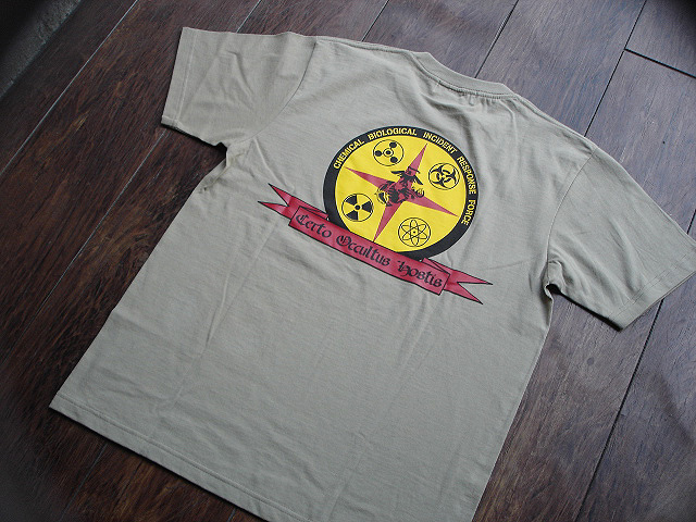 NEW : BALLISTICS™ [T-SHIRT] 2011 F/W !!_a0132147_1312150.jpg