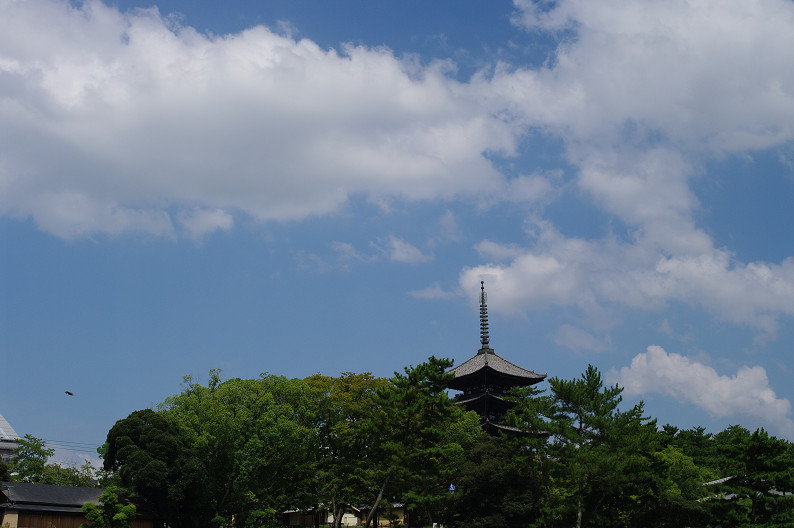 ならまち... その一_f0152550_20363983.jpg