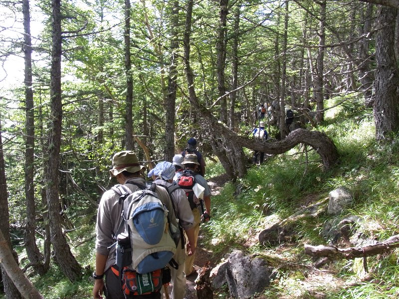 f0155954_983145.jpg