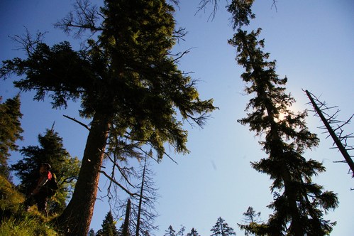 b0175255_20935.jpg