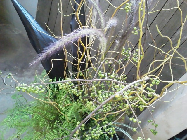 flower_d0162257_23342766.jpg