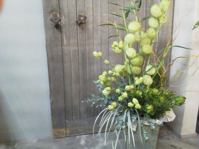 flower_d0162257_23342786.jpg