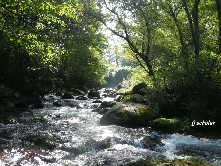 e0212759_21145080.jpg
