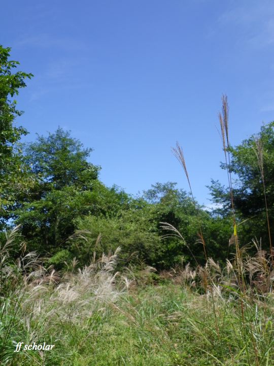 e0212759_2122314.jpg