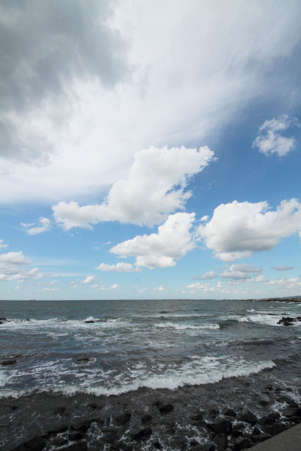 f0227662_2551536.jpg