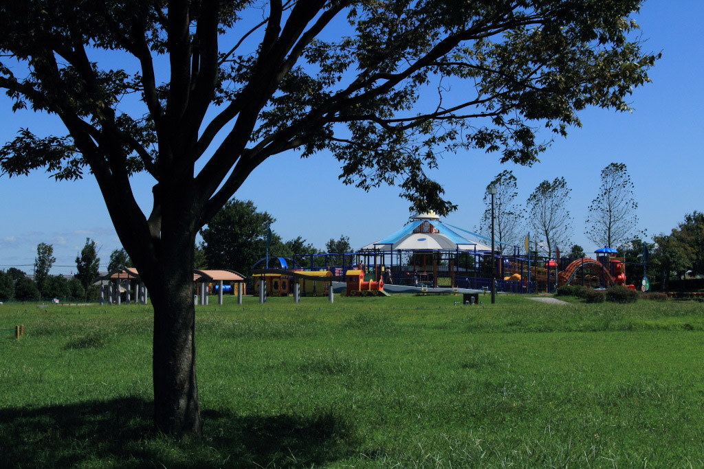 　　台風一過の木曽三川公園　その１_f0129465_6145866.jpg