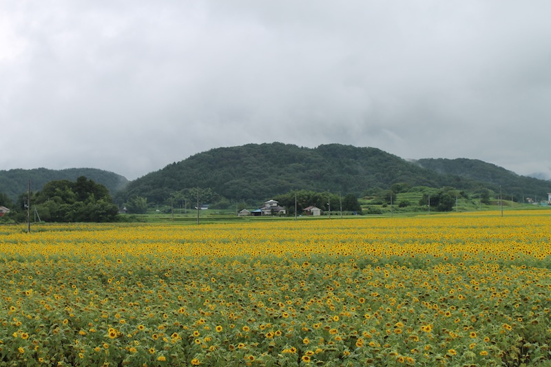 ふくしまに、明日の種を。ふくしまシード_c0173978_143217.jpg