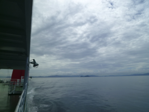 d0179983_16381569.jpg