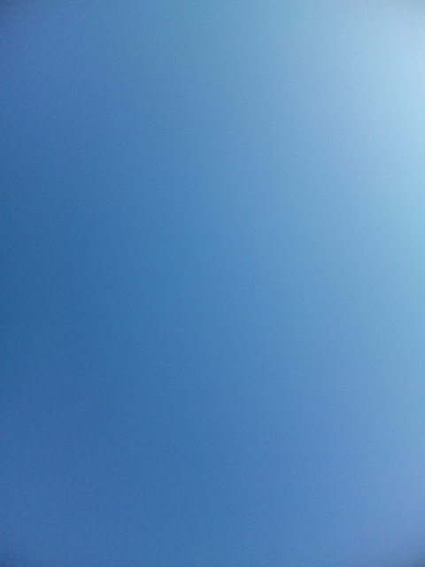 a0228986_17483319.jpg
