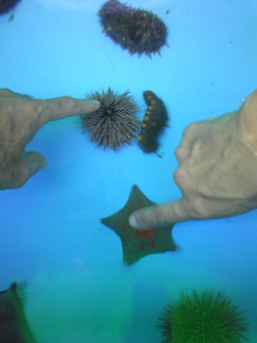 e0094589_156077.jpg
