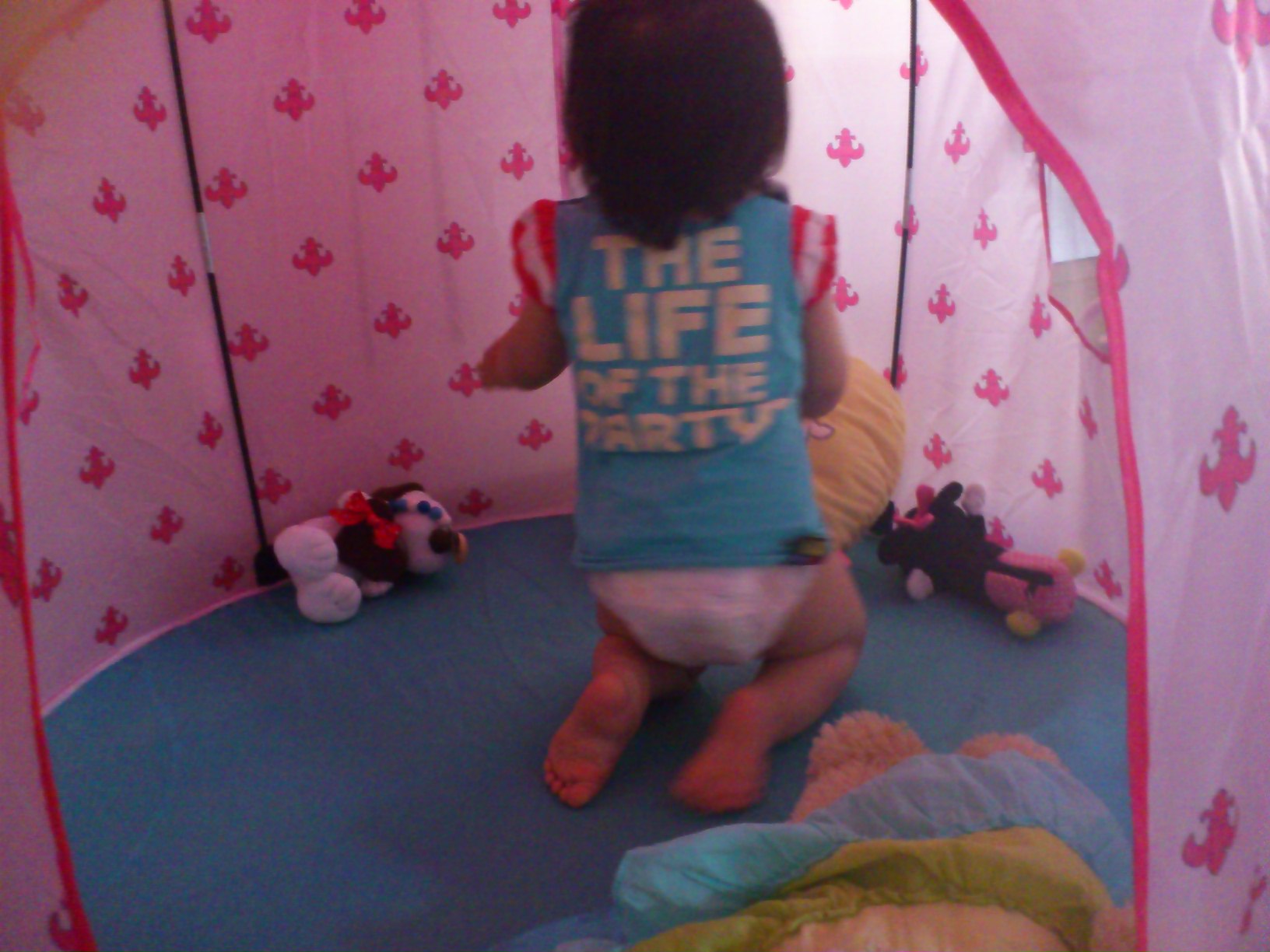 c0095091_21273414.jpg