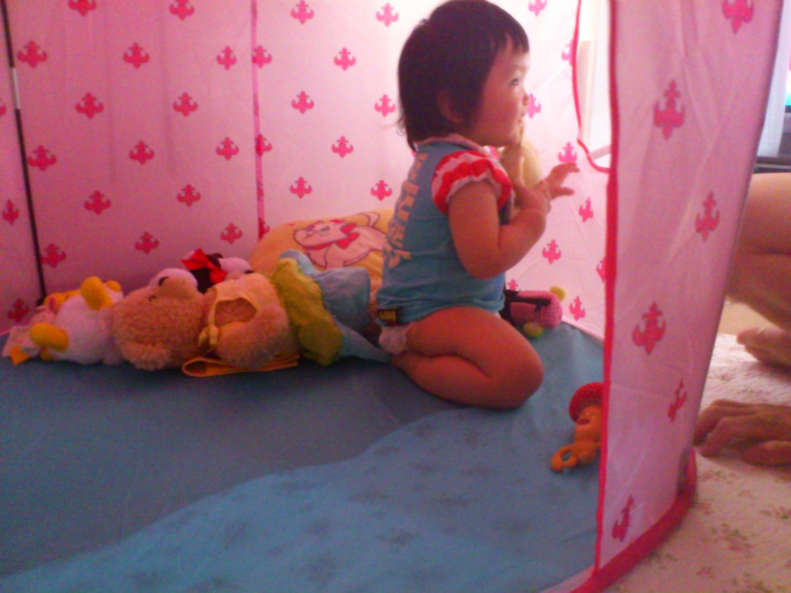 c0095091_21273448.jpg