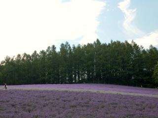 f0121591_8355649.jpg