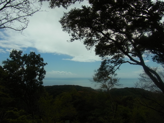 e0107493_16401978.jpg