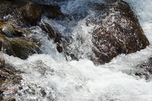 c0216700_1231956.jpg