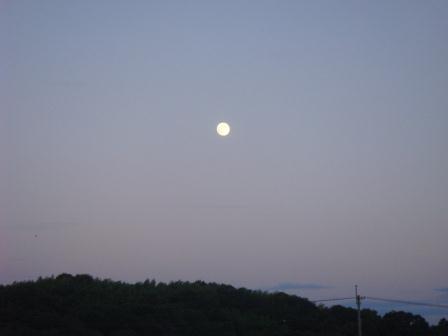 b0128101_22361635.jpg