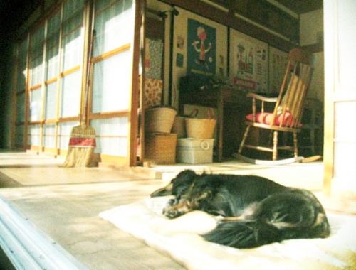 d0077603_943133.jpg