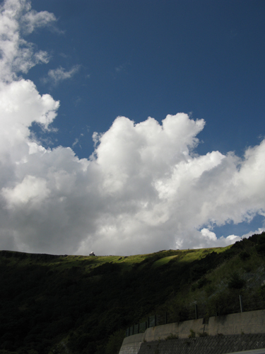 e0065906_2025726.jpg