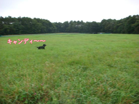 f0064906_17201284.jpg