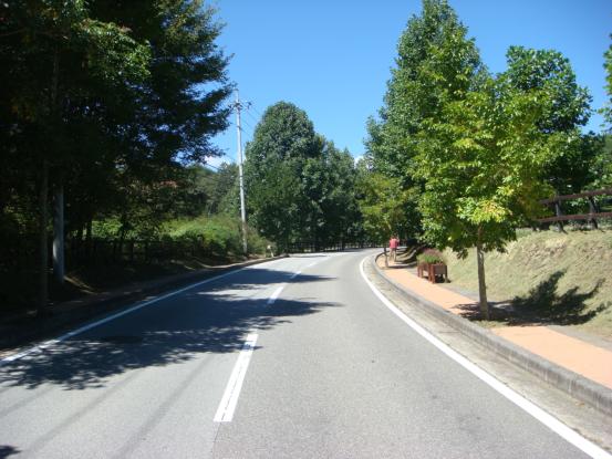 f0064906_17514393.jpg