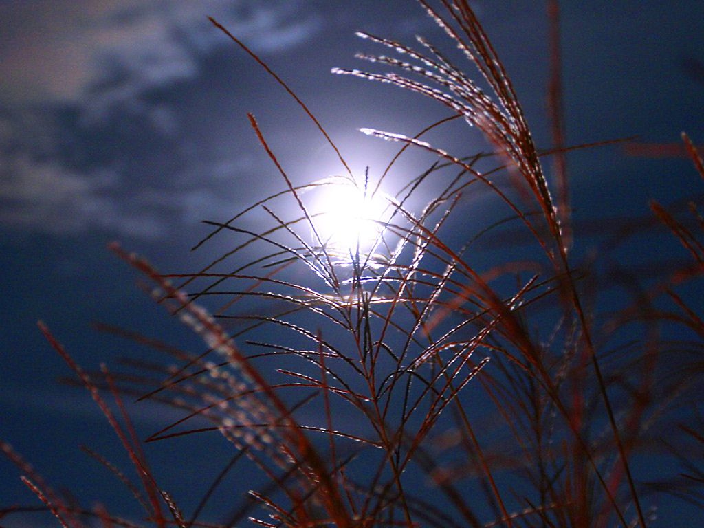 a0043408_2141403.jpg