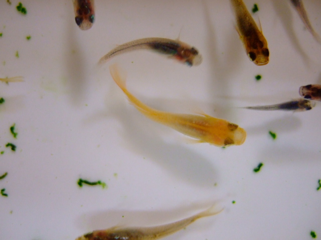 f0152308_204158.jpg